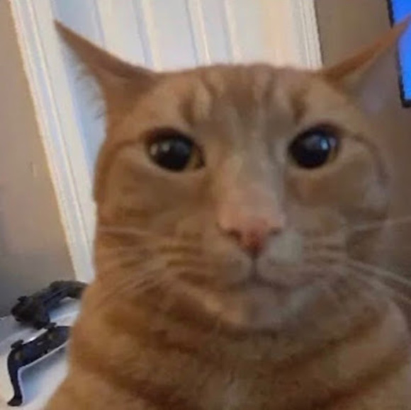 Meet your Posher, Yanelii - Picture 1 of 1